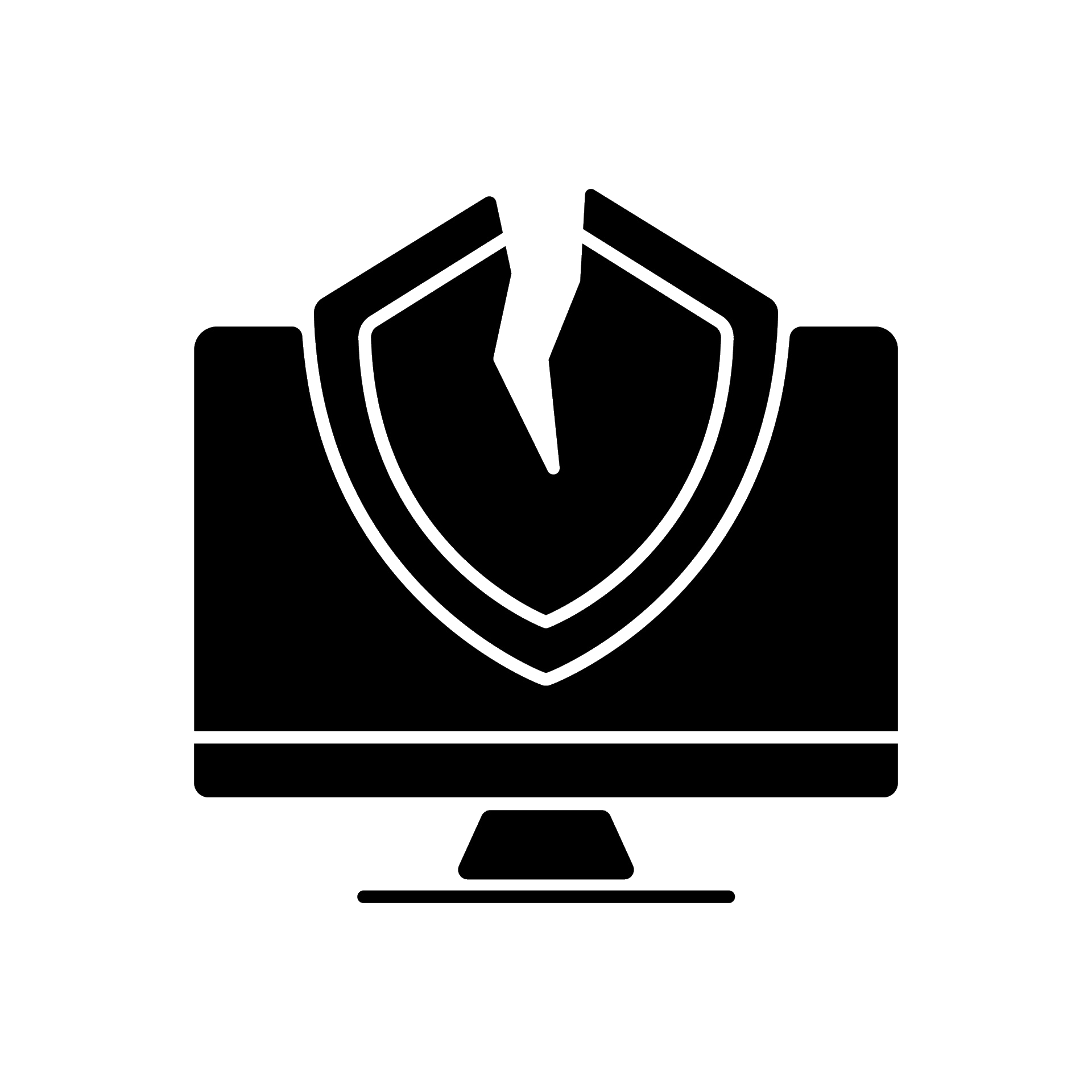 Vulnerability Scanner Icon